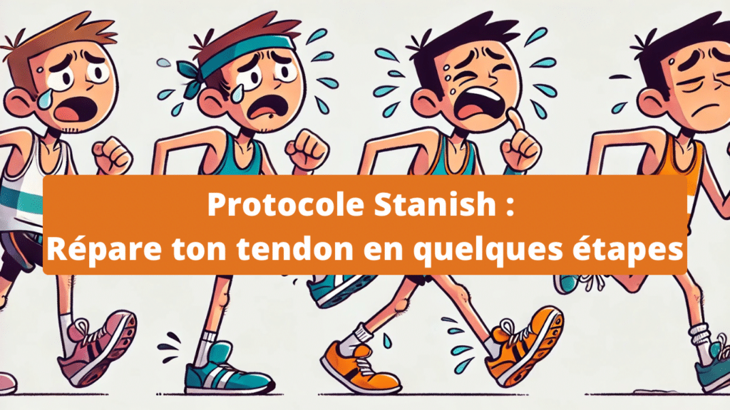 Guide du protocole Stanish