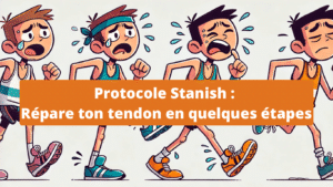 Guide du protocole Stanish