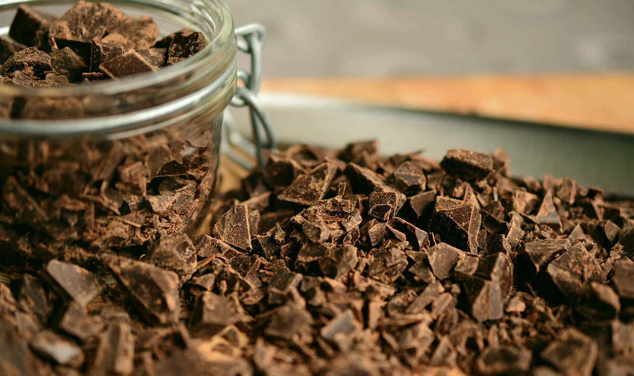 Combien de chocolat noir par jour pour maigrir durablement, système cardiovasculaire, carré, étude