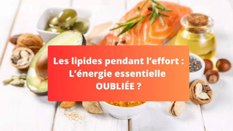 Les Lipides Pendant Un Effort Une énergie Essentielle