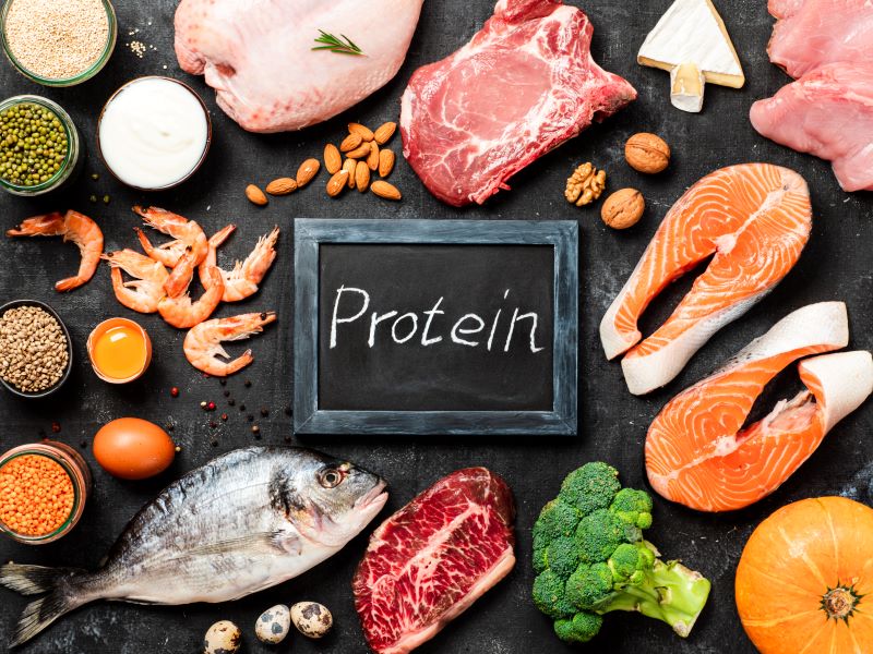 Produits laitiers pour sport d’endurance, acide aminé post entraînement avec la whey protéine et la vitamine B12 en compléments alimentaires