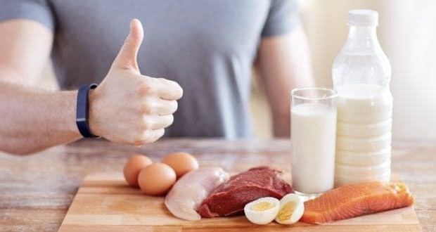 Protéines animales et protéines végétales avec acides aminés pour le corps humain, produits laitiers riches en protéines et oligo aliments avec acides gras