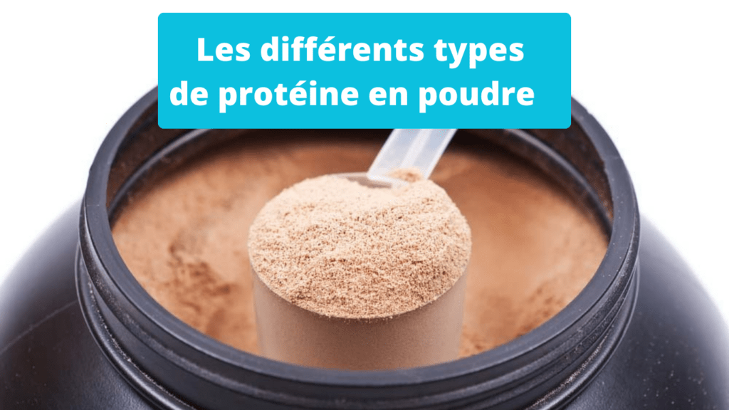 types de protéine en poudre