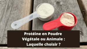 Protéine en Poudre Végétale ou Animale