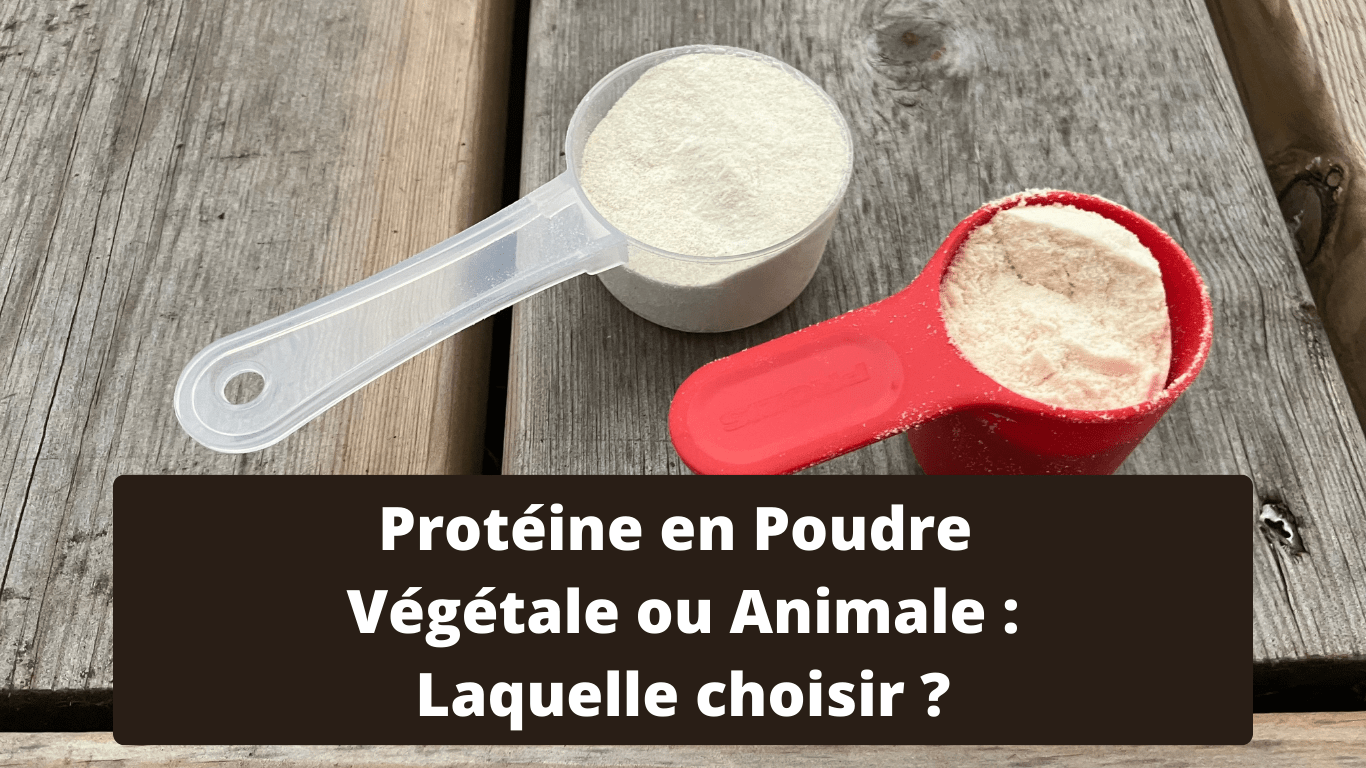 Protéine végétale ou animale ? Laquelle est la meilleure