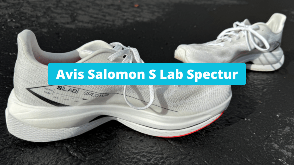 Avis Salomon S Lab Spectur