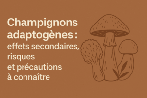 Champignons adaptogènes et ses effets secondaires