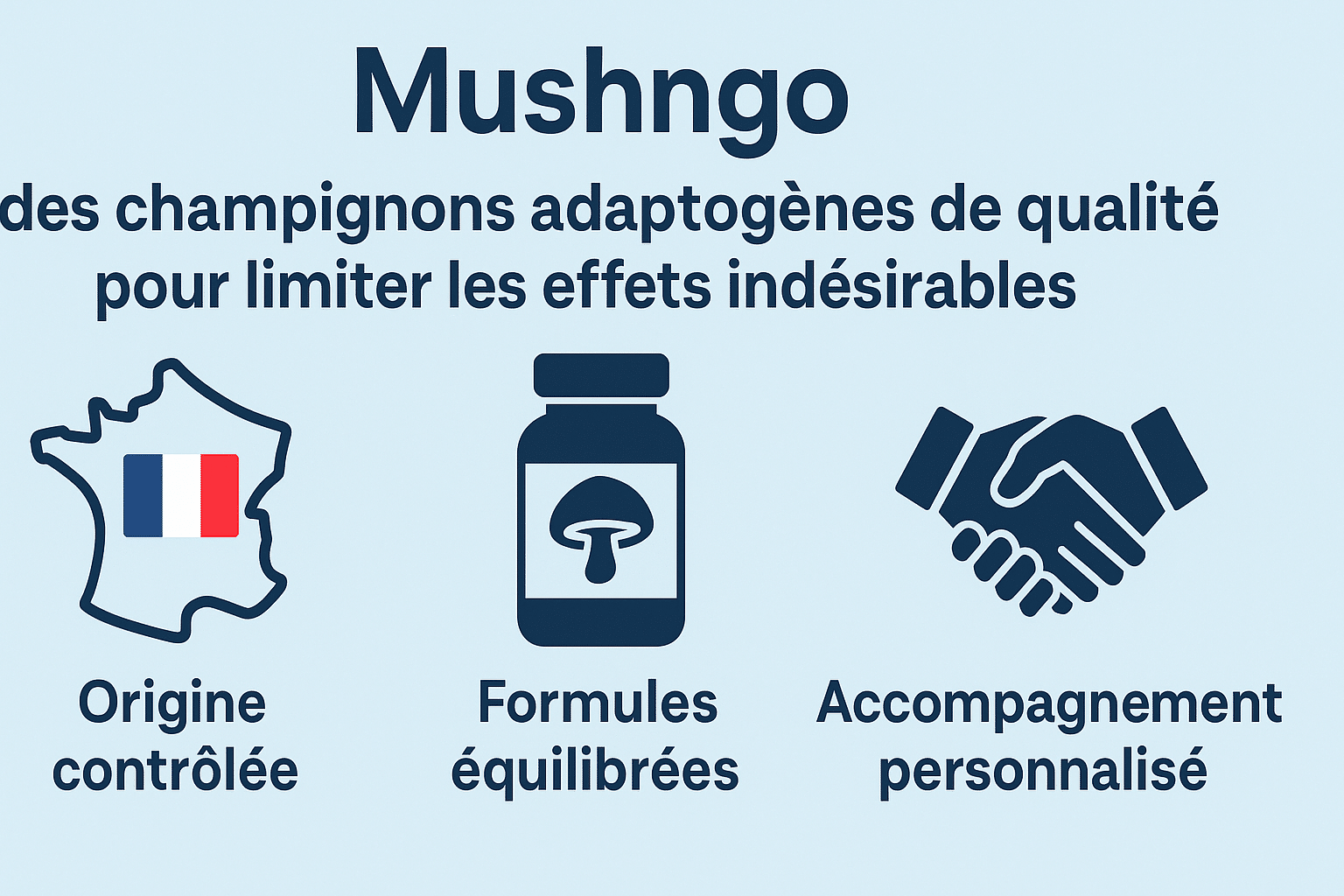 Mushngo et des champignons adaptogènes