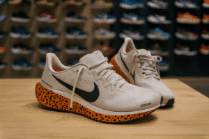 Avis Nike Pegasus 41
