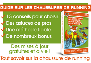 BSO-banniere-guide-1-rev02-300x207-anime